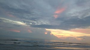 A tiny little fairy land- Mangalore