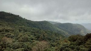 Where the green meets the greenery in Chikmagaluru