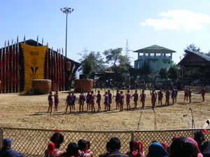Nagaland's Hornbill Festival, I Was Mesmerized By The North Eastern Culture