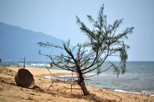 Kurumgad Island 1/undefined by Tripoto