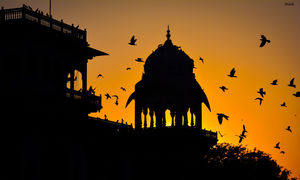 7 Surprising Facts That Will Change The Way You Look At Jaipur