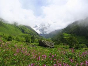 Valley Of Flowers Trek - Himalayas