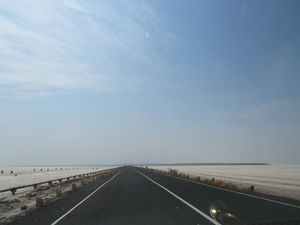 Welcome to the Harappan metropolis