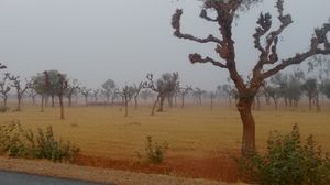 Royal Jaisalmer