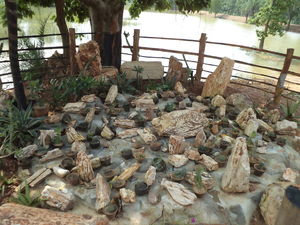 Amkhoi Fossil Park