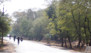 Orchha Wildlife Sanctuary 1/4 by Tripoto