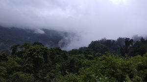 Solo trip to Goa during Monsoon