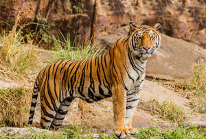 Your Goa Plans Will Get a Crazy Twist with This Kickass Wildlife Sanctuary Nobody Told You About!