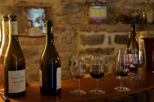 Wineries in Le Pic St Loup 1/4 by Tripoto