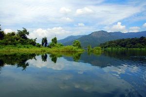 Chimmony Jungle Camp: A jungle to get lost in
