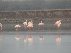 Kutch Nai Dekha toh Kuch Nai Dekha! (If you havent seen Kutch, then you havent seen anything at all)