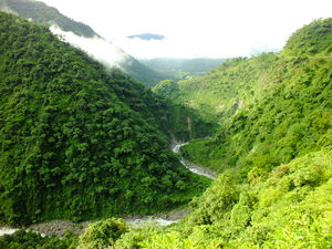 High up in Nag Tibba