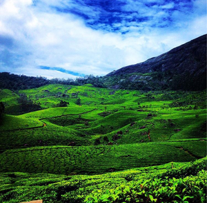 Five beautiful days in heaven Kerala