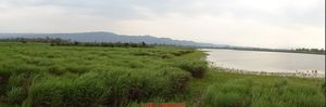 Short and Sweet Journey to North-east