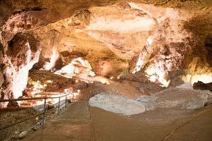 A day in Karst Region Arecibo (RioCaves 1/2 by Tripoto