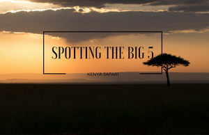 SPOTTING THE BIG 5 IN KENYA