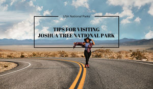 TIPS FOR VISITING JOSHUA TREE NATIONAL PARK