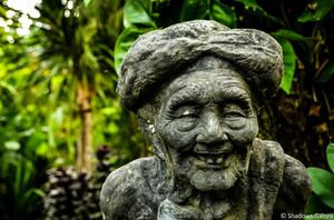 At a Balinese coffee estate