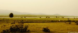 The dense forests of Satpura: Prologue