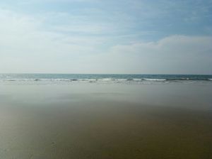 G O A , the sun, sand, beaches, parties and what not.