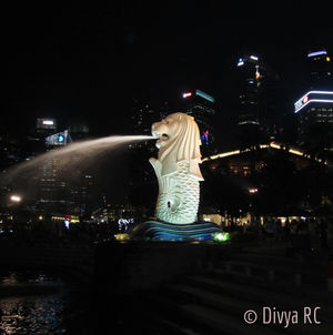 Top Things to do when you are in Singapore