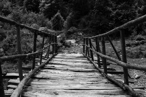 Sikkim...Incredible Indian NorthEast..memories from a Himalayan homestay