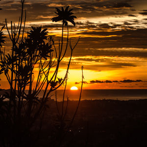 Bukit Padang 1/1 by Tripoto
