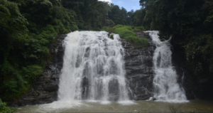 Alone in the Wilderness of Coorg