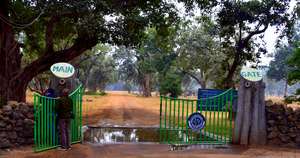 How to book your safari for Bandhavgarh Tiger Reserve?