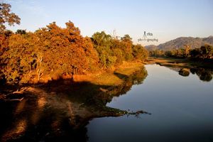 Rhino Faceoff – Kaziranga National Park