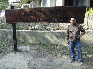 In Pursuit Of A One-Horned Rhino In Assam