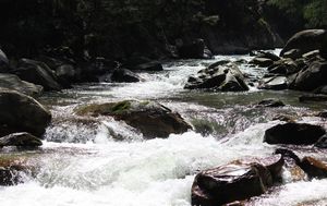 A date with self at Sarpass
