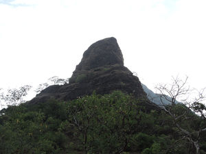 Climbing With a Purpose…. Redefining History!