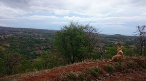 30 days of FLY - Visit to Purushwadi