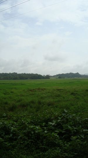 Goa Unplugged
