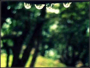 RUDRANATH : A JOURNEY OF FINDING SELF