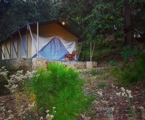 Nayalap: Rural Himalayan Glamping