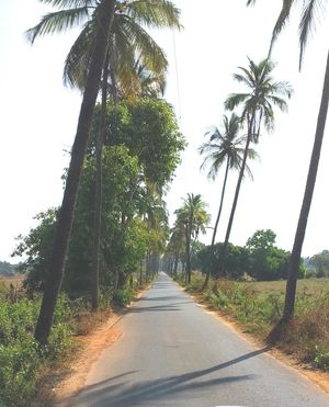 Beyond parties in Goa, a relaxing vacation