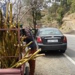 Shimla to Dharamshala: The drive as the destination