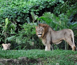 Visit Singapore – With little ones in tow