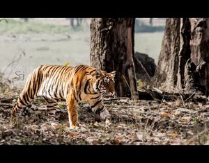 One with Kanha