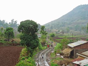 The Kalsubai Trek!