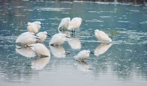 On the Soil of Bhandup Pumping Station
