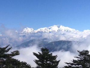 Sandakphu - Of misty roads and grand vistas, and a sweet surprise!