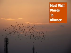 Backpacking in Bikaner