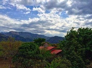 Sunny Days and Starry Nights At This Himalayan Homestay In The Wild!