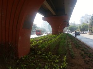 Dr E Moses Marg 1/1 by Tripoto
