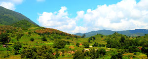 Incredible Journey to Araku Valley and Borra Caves #BestOfTravel