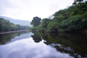 Day trip to Polo Forest