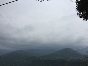 Wanderlust Chronicles in Dooars